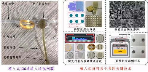 深圳先進院攜多個黑科技產品閃耀CIOE2018，推動光電技術交流與創新